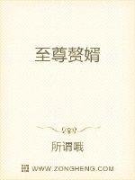 《至尊贅婿》
