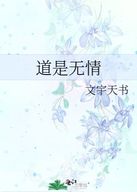 《道是无情》