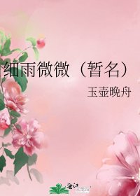 《细雨微微(暂名)》