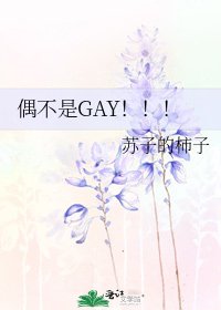 《偶不是GAY!!!》