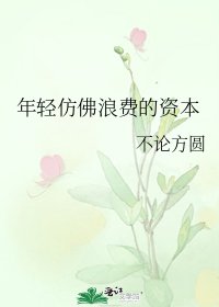 《年轻仿佛浪费的资本》