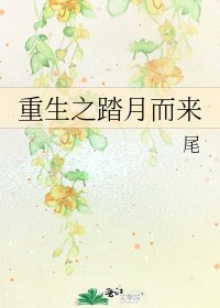 重生之踏月而来
