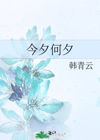 《今夕何夕》