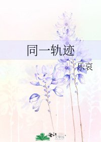 《同一轨迹》