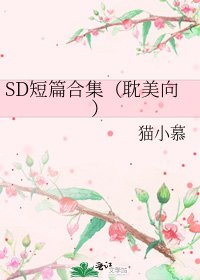 SD短篇合集(耽美向)