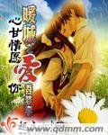《暖城之心甘情愿爱你》
