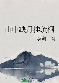 《山中缺月挂疏桐》