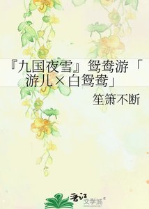 『九國夜雪』鴛鴦遊「遊兒×白鴛鴦」