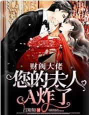 财阀大佬,您的夫人A炸了